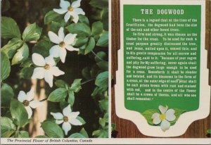 Nature Postcard - The Dogwood, Flower of British Columbia, Canada Ref.RR18286