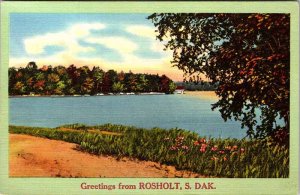 Postcard WATER SCENE Rosholt South Dakota SD AM0565