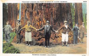 Redwood Highway California 1920s Postcard President Hoover Base Of Redwood