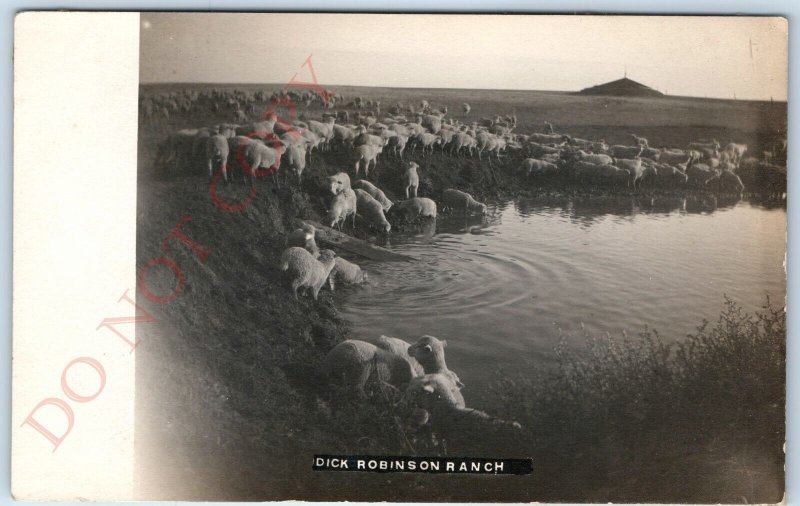 c1910s Dick Robinson Ranch RPPC Civil War Camp Sheep Pasture Real Photo A127