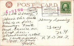 Palm Garden Los Angeles California Cancel 1c Washington Green Stamp Postcard PM 