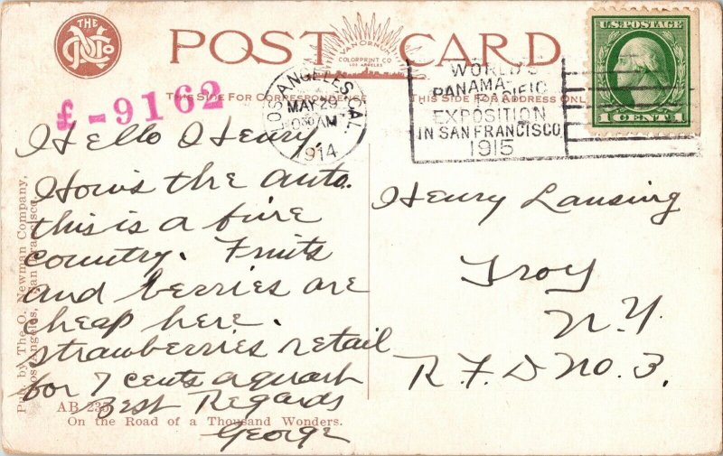 Palm Garden Los Angeles California Cancel 1c Washington Green Stamp Postcard PM 