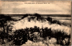 Sand Dunes North of Rehoboth Beach DE Vintage Postcard J64