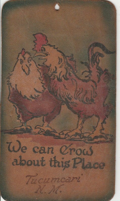We Can Crow about Tucumcari New Mexico~Rooster to Hen~Chickens~c1905 Leather 