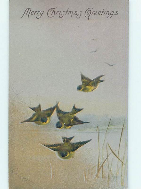 Pre-1907 christmas BEAUTIFUL BIRDS FLYING OVER THE WATER HQ6130