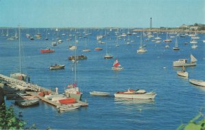 Fishing Boats Sail Boats Marblehead Harbor East Coast Mass. Postcard 2R3-160 