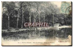 Old Postcard Foret Meudon Wood Clamart Etanges Trivaux