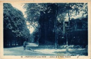 CPA FONTENAY-sous-BOIS - Avenue de la Dame Blanche (659559)