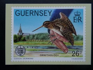 Guernsey ORNITHOLOGY Artist Gordon Drummond  3-E 1982 Postcard