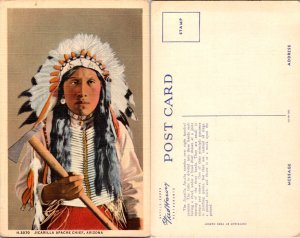 Jicarilla Apache Chief, Arizona (16225