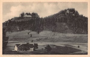 L207 Germany Hohenfreyberg-Eisenberg Panoramic View vintage postcard