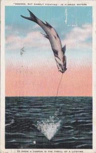 Florida Fishing Jumping Tarpon Hooked But Gamely Fighting 1935