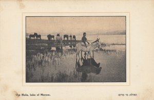 The Hula , lake of Merom , 00-10s ; Jewish Colony-Palestine