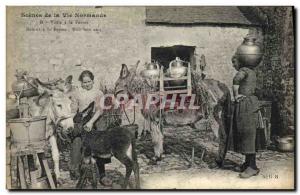 Old Postcard Folklore Visit to the farm Donkey Mule TOP