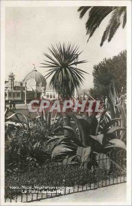 Postcard Old Nice exotic Vegetation The Palais de la Jetee