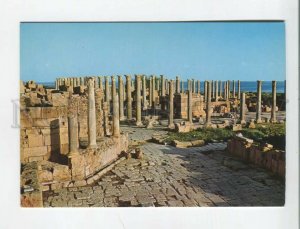 470981 1979 year Libya Tripoli congratulations of the Soviet official postcard