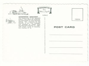Washington Monument, Cherry Tree Blossoms, Washington DC, Chrome Postcard