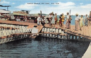 TURTLE CRAWS KEY WEST FLORIDA SHIP PREXY STAMPS POSTCARD 1951