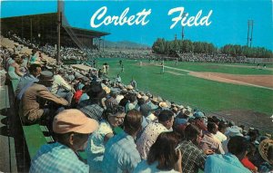 1950s Tucson Arizona Hi Corbett Field Baseball Training Camp Postcard 25-11385
