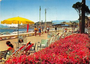 B109310 France Cannes La Croisette et le Suquet Promenade Terrace