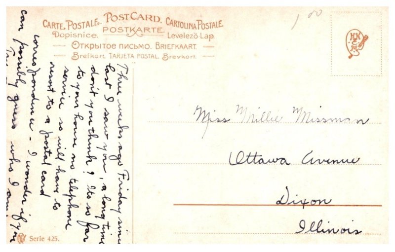 Dog , Saint  Bernard ,