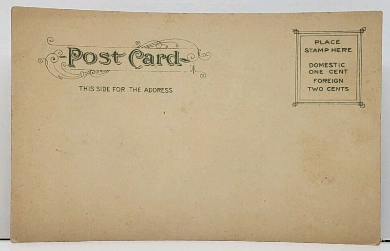 Providence RI New Public Library udb Postcard G8