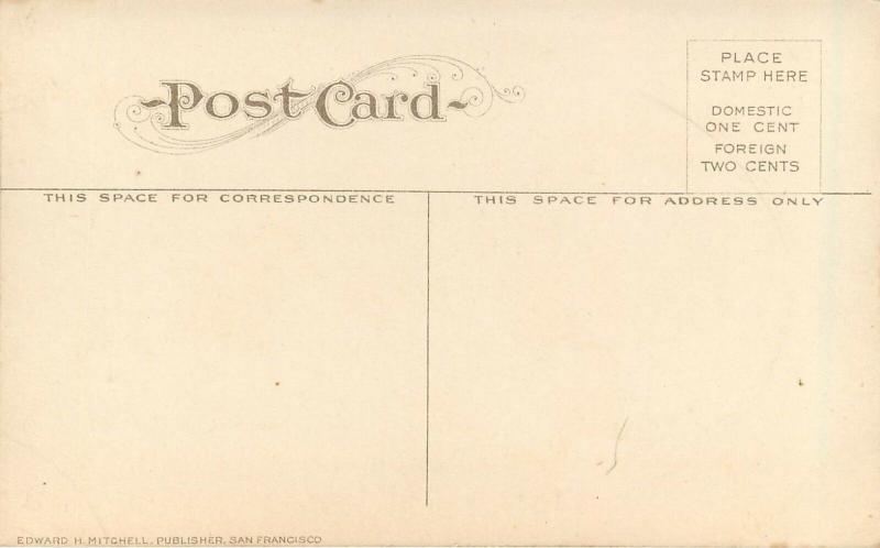 c1907 Postcard; Public Library Butte MT Silver Bow County, Mitchell 212 unposted