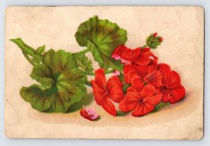 Woolson Spice Co, Lion Coffee, Toledo Ohio Flowers Victorian Trade Card  P1