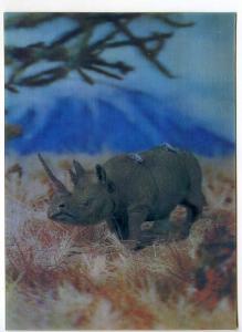 263471 Rhinoceros OLD 3-D Lenticular postcard
