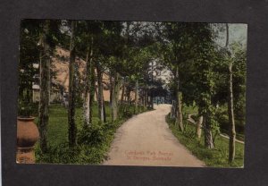 Bermuda Caledonia Park Ave St Georges Postcard Dirt Road Lane Ave 1911