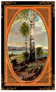 Birch tree  with Scene