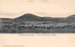 Greeting From Idaho Wool Producers in Idaho 1907c postcard