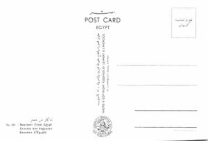 Land of Pyramids - Egypt