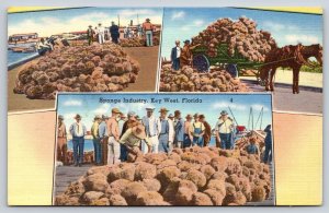 Key West Florida~Sponge Industry Scenes~Horse Cart~Harbor~1940s Linen Postcard