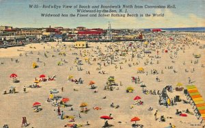 WILDWOOD BY THE SEA NJ~BIRDS EYE VIEW BEACH-BOARDWALK-AMUSEMENT PK~1947 POSTCARD
