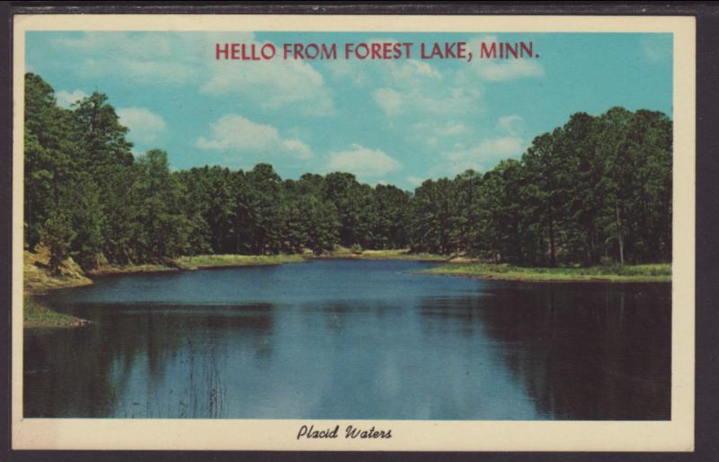 Hello From Forest Lake,MN Postcard BIN