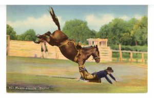 Burt Mulkey Leaving Melrose, Bucking Horse