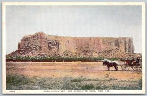 The Enchanted Mesa Arizona c1915 Fred Harvey Postcard Mesa Encantada