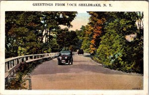 Postcard ROAD SCENE Loch Sheldrake New York NY AM5919