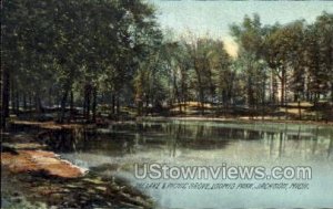 The Lake and Picnic Grove, Loomis Park in Jackson, Michigan