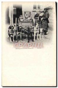 Postcard Old Dog Dogs hitch Flemish dogs