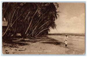 c1920's Coconut Palms Mayaro Beach Trinidad and Tobago BWI Vintage Postcard