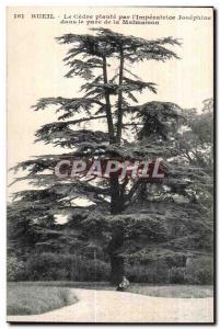 Old Postcard Rueil The plant Gedve pab i Impevatvice Josephine