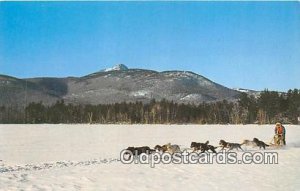 Dog Sled, Chocorua Lake White Mountains, NH, USA Unused 