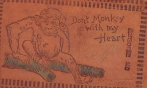 Norborne Missouri Greetings Monkey Leather Vintage Postcard AA35894