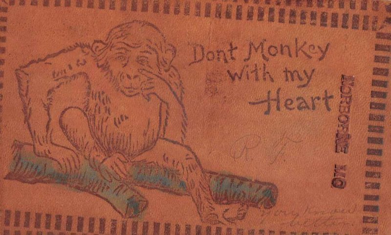 Norborne Missouri Greetings Monkey Leather Vintage Postcard AA35894