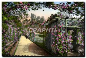 Rose Garden of the Roses- & # 39Hay Allee des Arches - Old Postcard