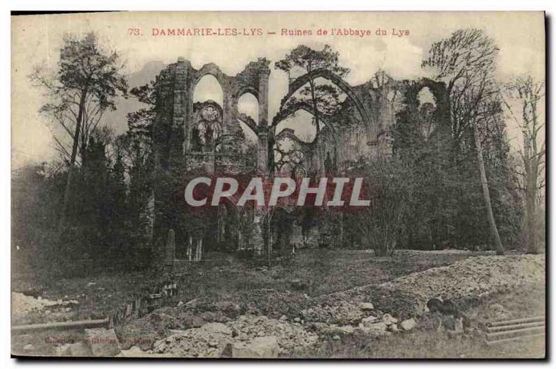 Old Postcard Dammarie Les Lys Ruins L Abbaye du Lys