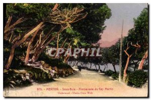 Old Postcard Menton Sous Bois Promenade Cap Martin