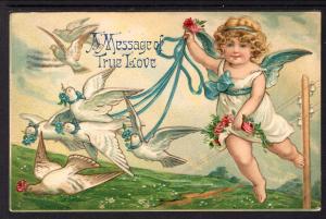 A Message of True Love,Cherub,Doves